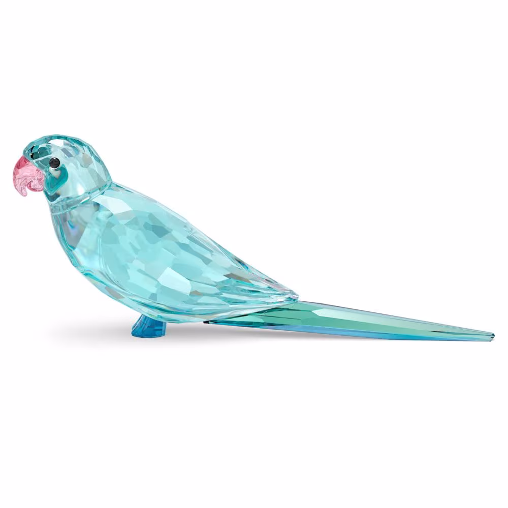 Figurine Swarovski Perruche Ondulée Paco 5574519