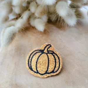 Broche citrouille d'Automne